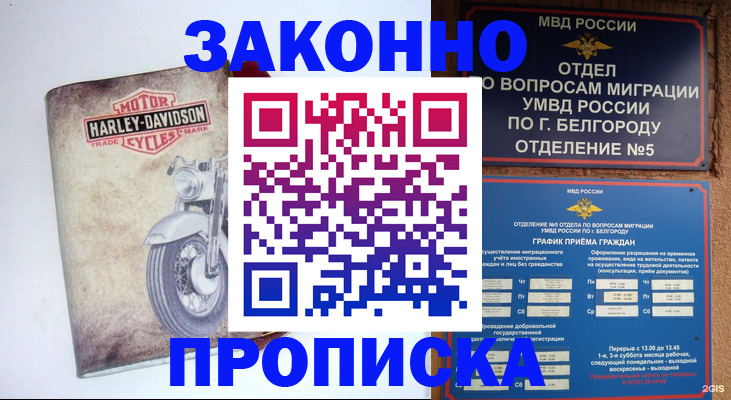 прописка для школы в Назрани